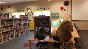Foley Elementary Library